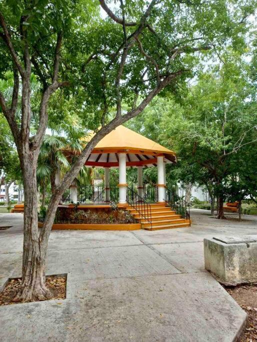 Beautiful Jungle House On A Strategic Location Villa Cancun Dış mekan fotoğraf