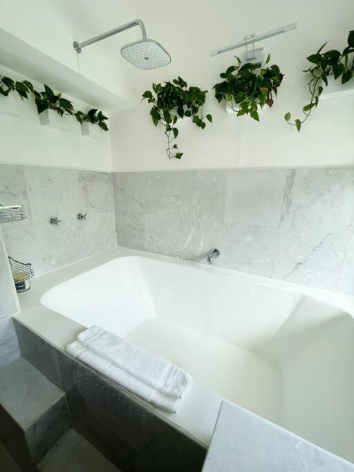 Beautiful Jungle House On A Strategic Location Villa Cancun Dış mekan fotoğraf